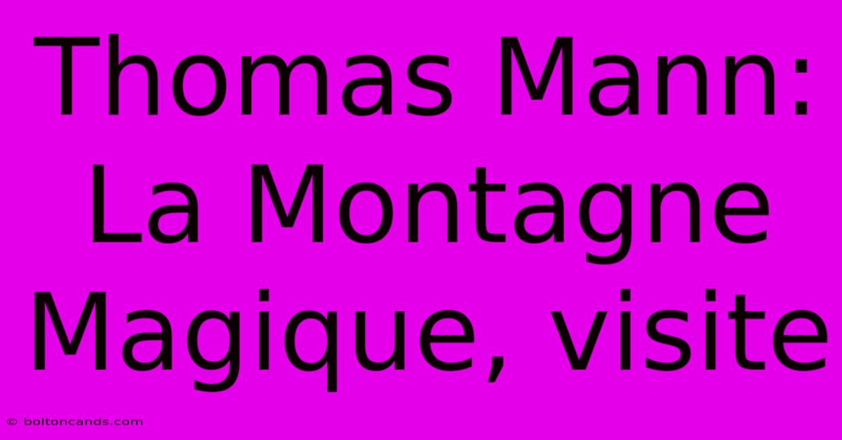 Thomas Mann: La Montagne Magique, Visite