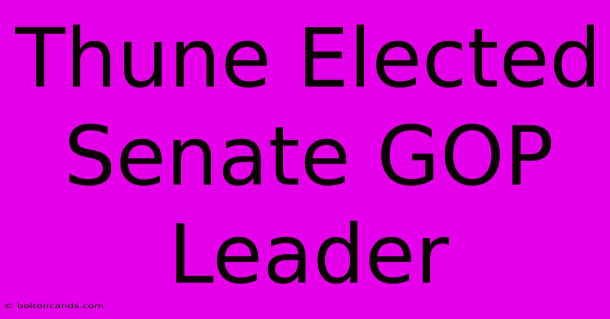 Thune Elected Senate GOP Leader