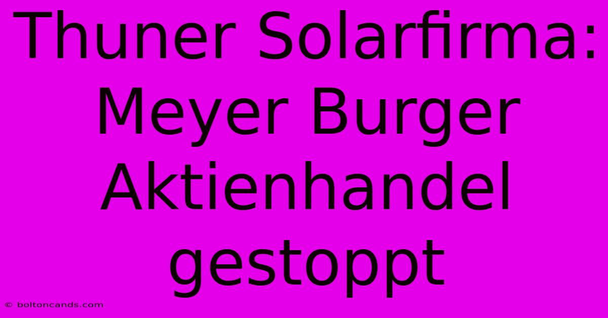 Thuner Solarfirma: Meyer Burger Aktienhandel Gestoppt