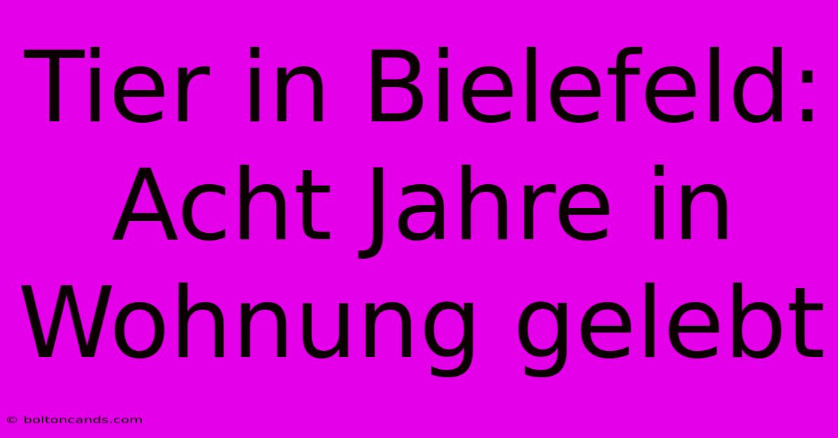 Tier In Bielefeld: Acht Jahre In Wohnung Gelebt