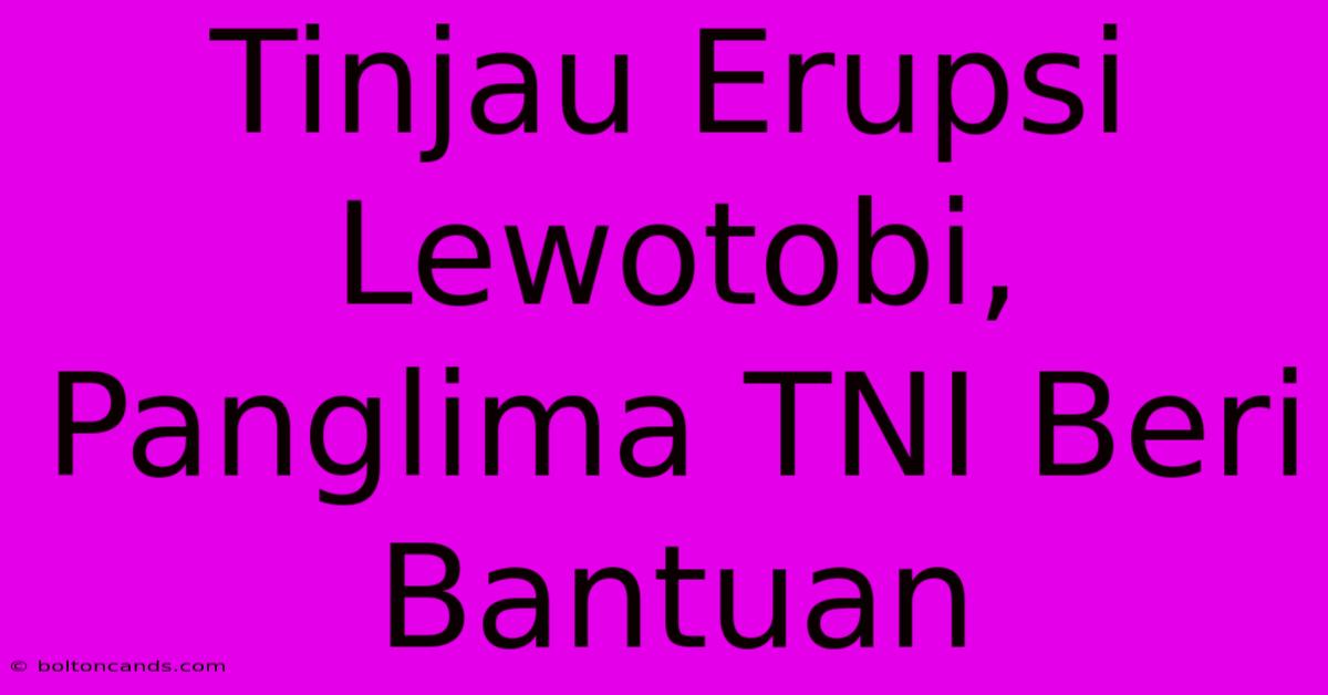 Tinjau Erupsi Lewotobi, Panglima TNI Beri Bantuan