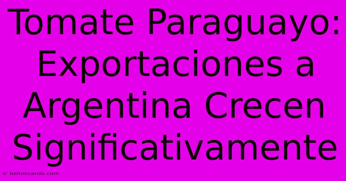 Tomate Paraguayo: Exportaciones A Argentina Crecen Significativamente 