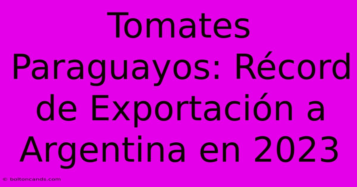 Tomates Paraguayos: Récord De Exportación A Argentina En 2023