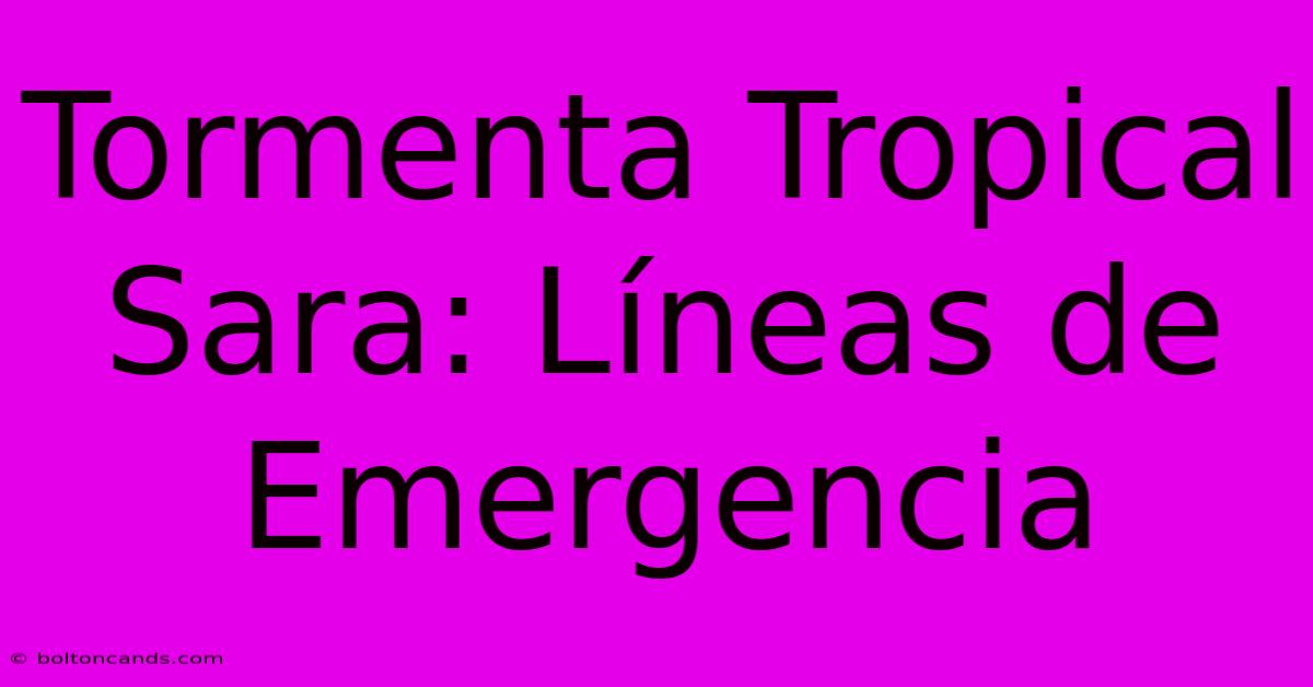 Tormenta Tropical Sara: Líneas De Emergencia