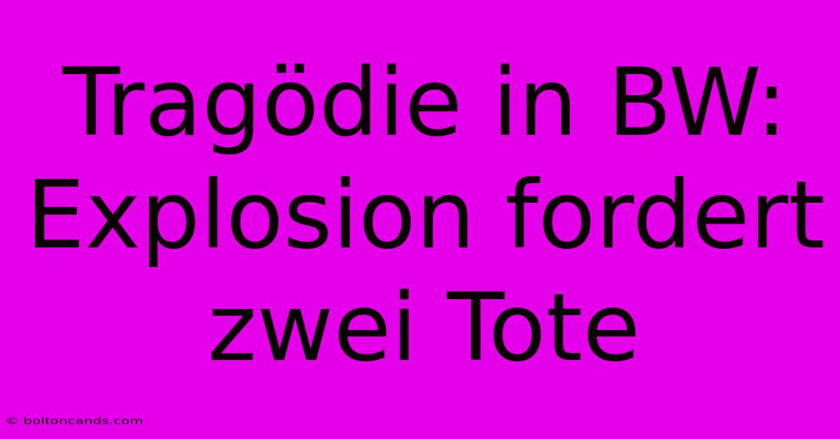 Tragödie In BW: Explosion Fordert Zwei Tote 