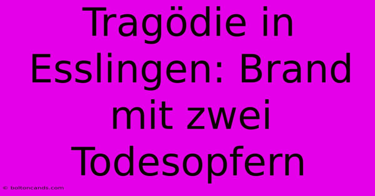 Tragödie In Esslingen: Brand Mit Zwei Todesopfern 