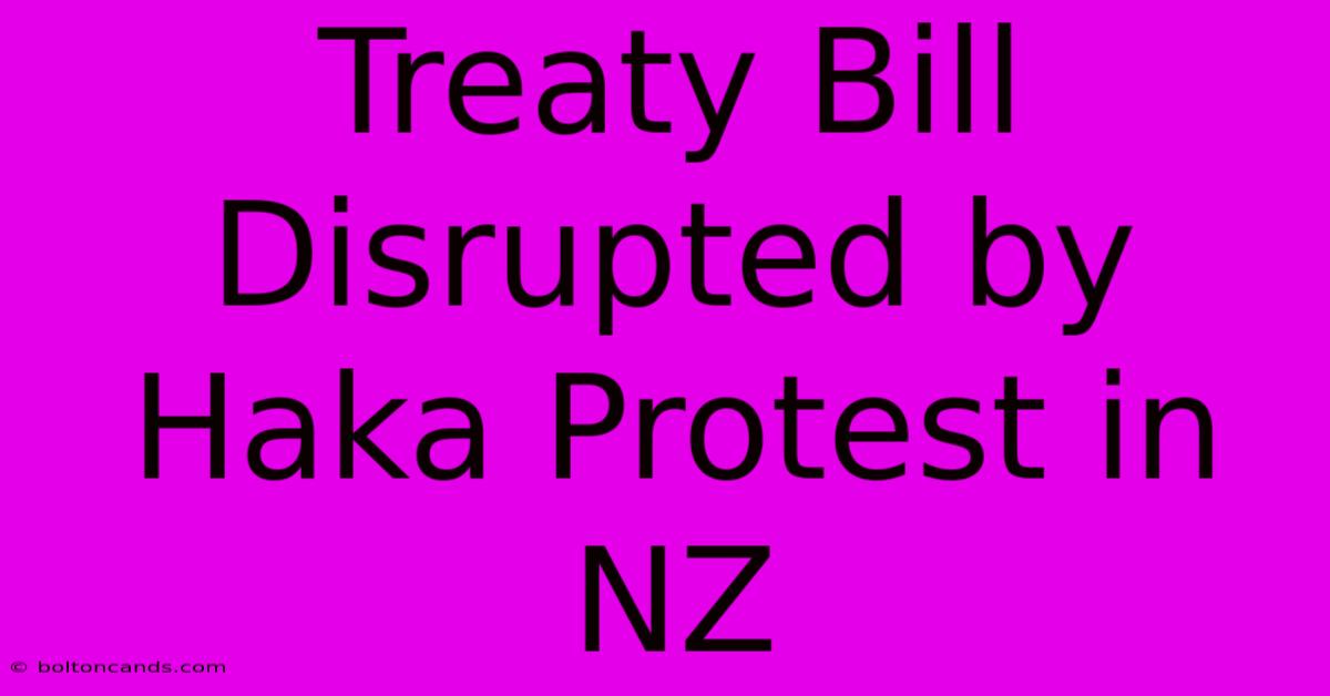 Treaty Bill Disrupted By Haka Protest In NZ