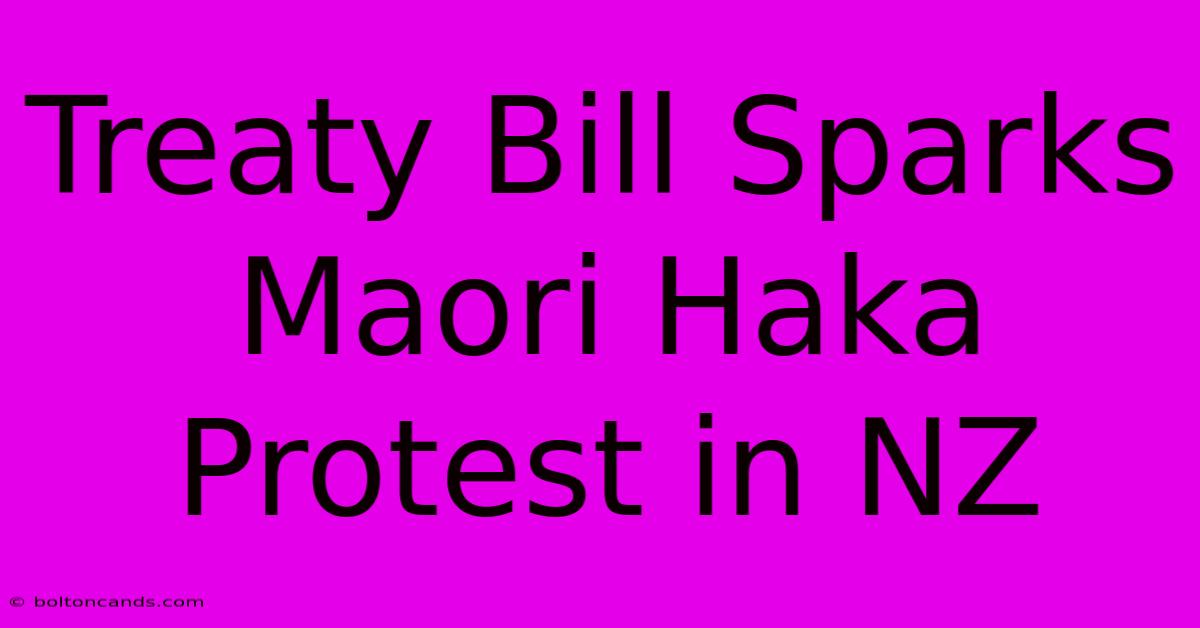 Treaty Bill Sparks Maori Haka Protest In NZ 