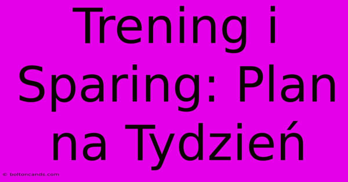 Trening I Sparing: Plan Na Tydzień