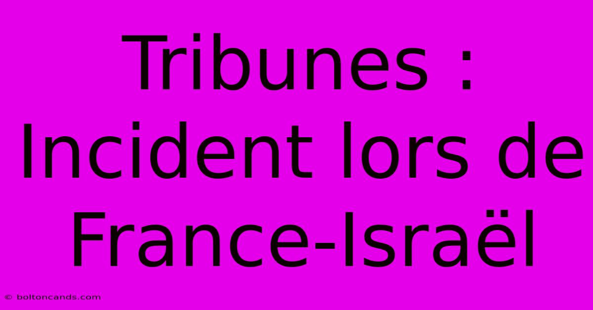 Tribunes : Incident Lors De France-Israël