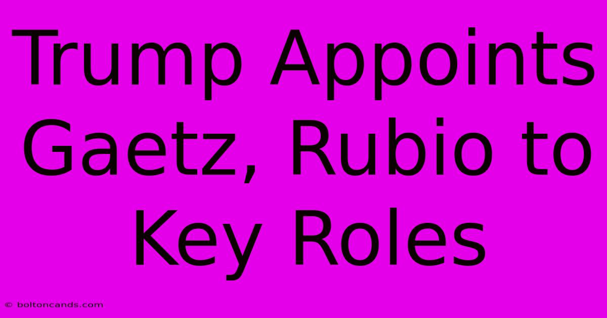 Trump Appoints Gaetz, Rubio To Key Roles