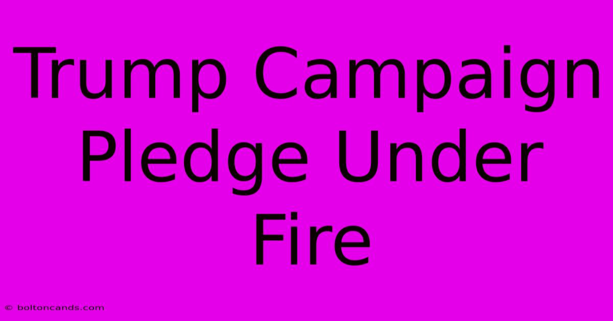 Trump Campaign Pledge Under Fire