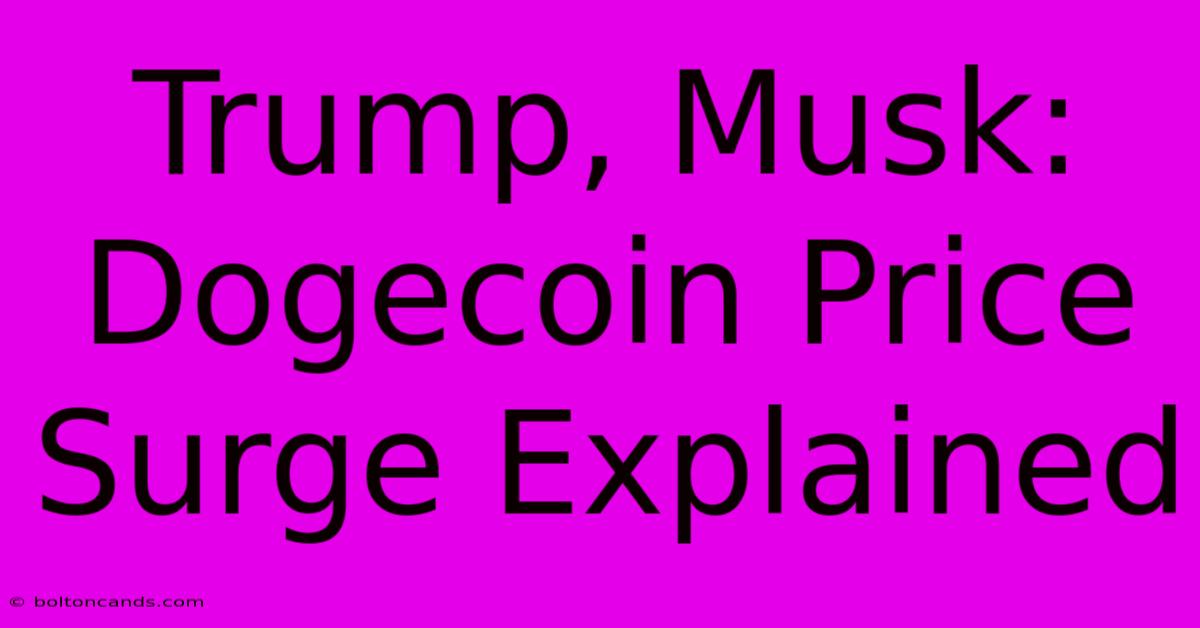 Trump, Musk: Dogecoin Price Surge Explained