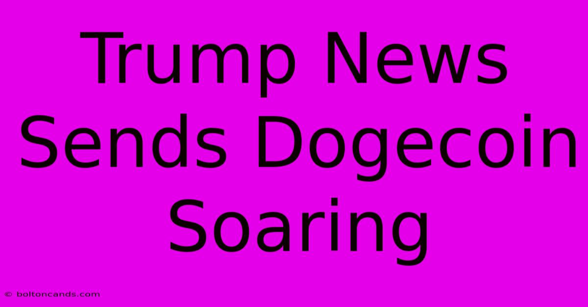 Trump News Sends Dogecoin Soaring