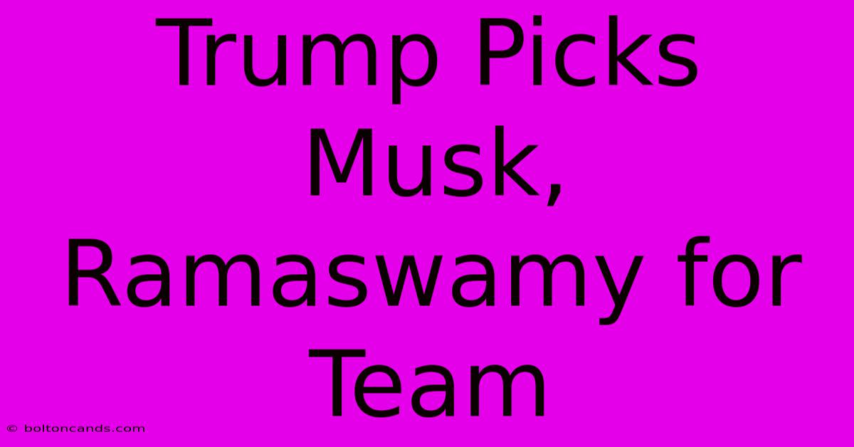 Trump Picks Musk, Ramaswamy For Team