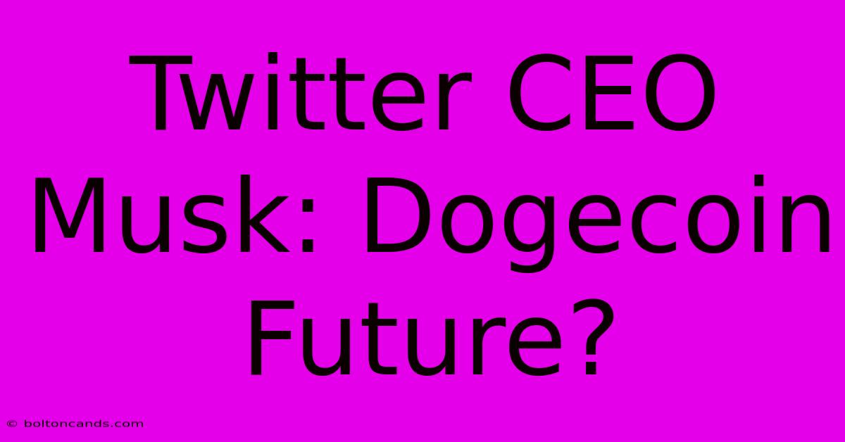 Twitter CEO Musk: Dogecoin Future? 