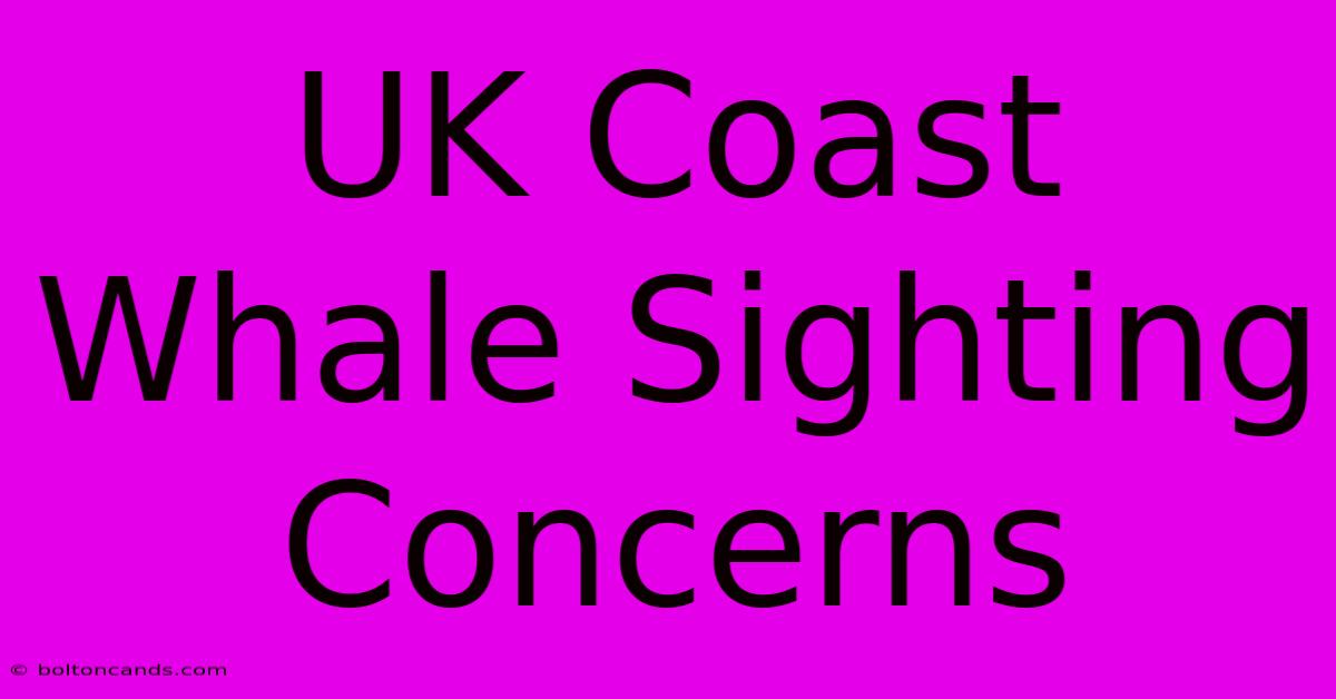 UK Coast Whale Sighting Concerns