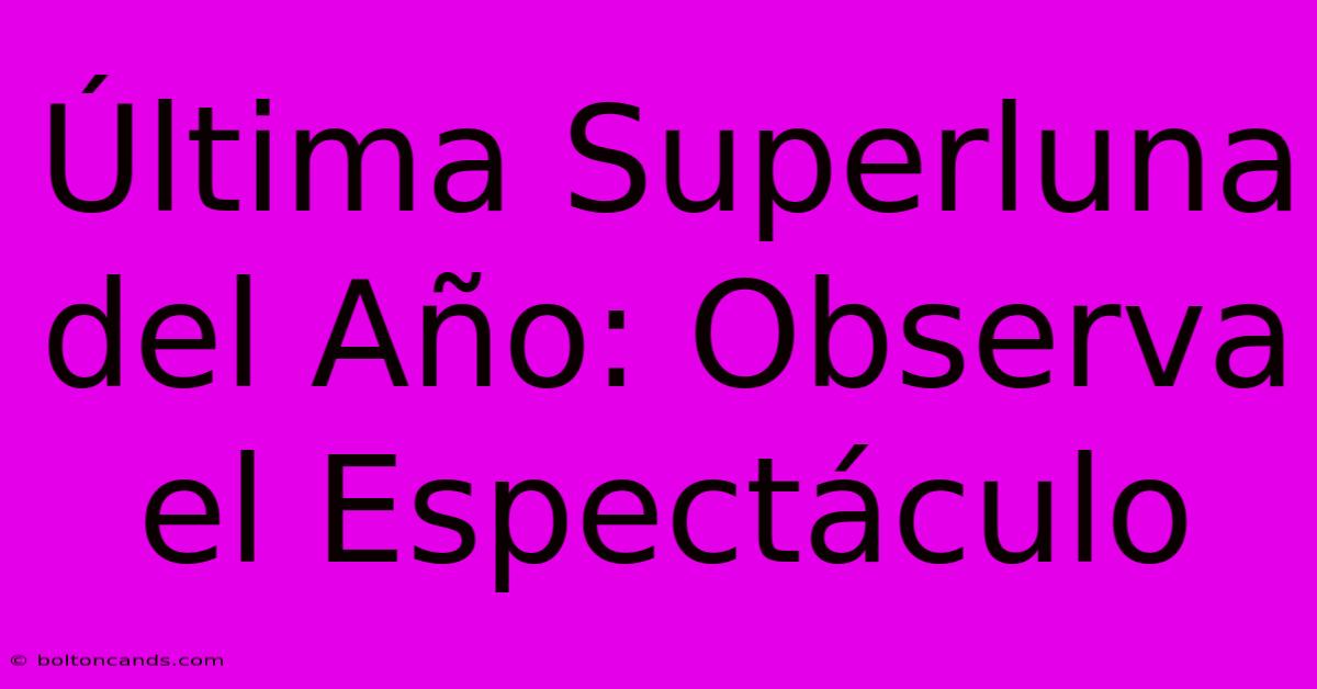 Última Superluna Del Año: Observa El Espectáculo