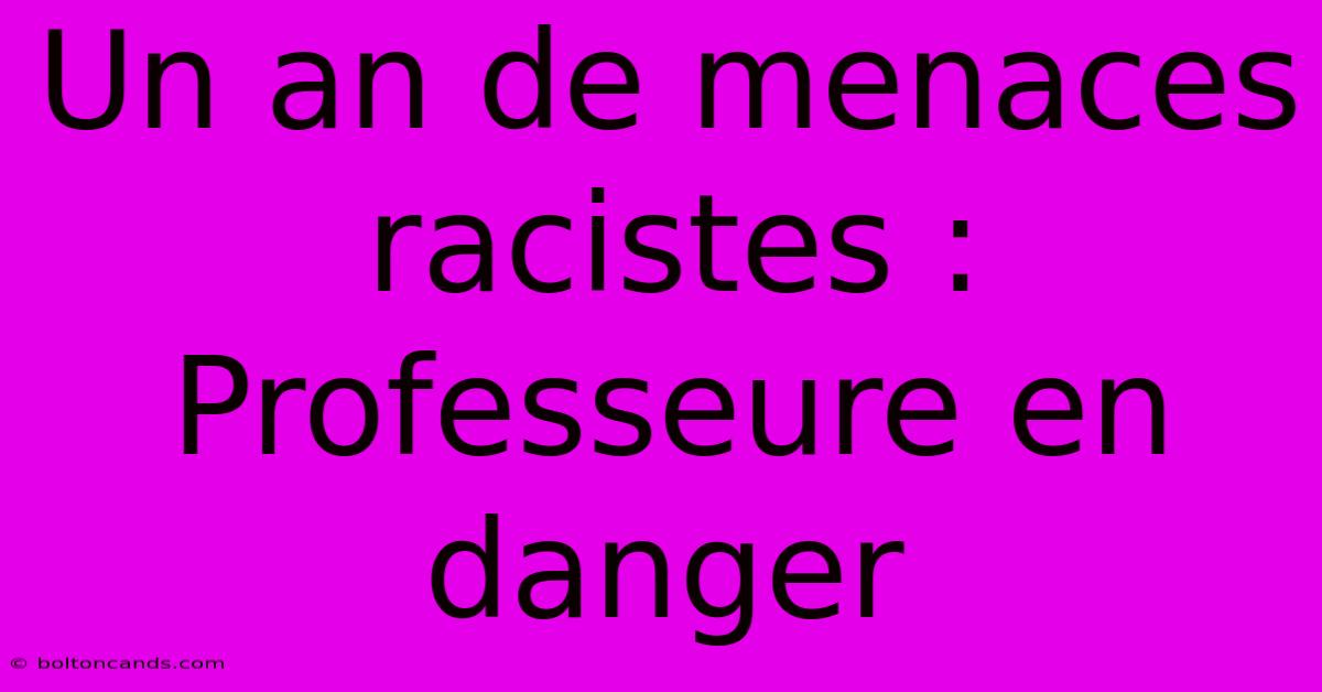 Un An De Menaces Racistes : Professeure En Danger