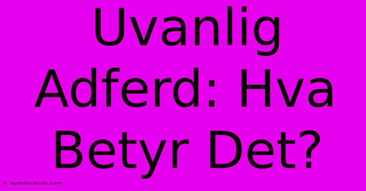 Uvanlig Adferd: Hva Betyr Det?