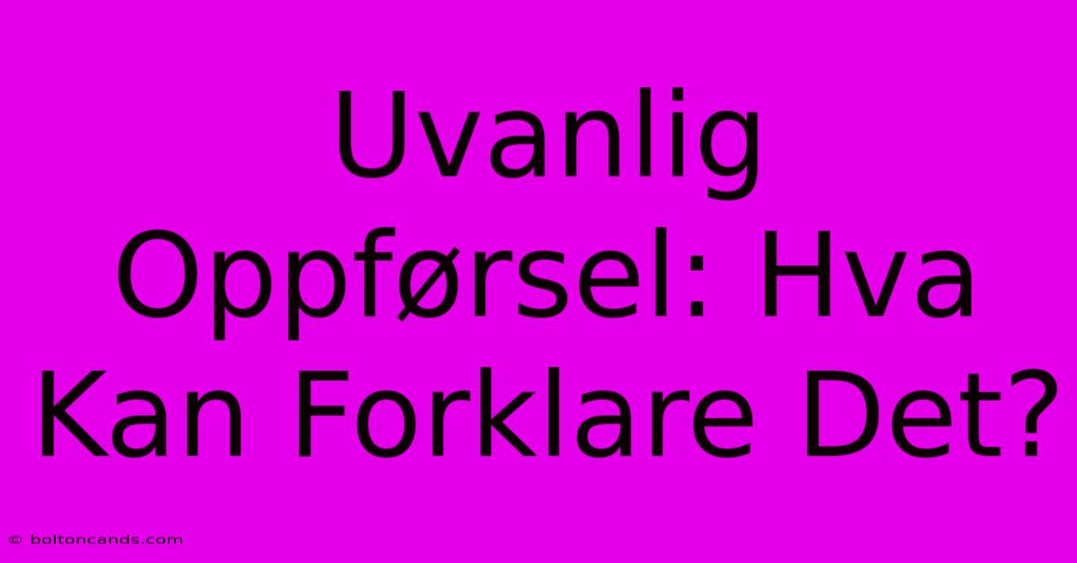 Uvanlig Oppførsel: Hva Kan Forklare Det? 