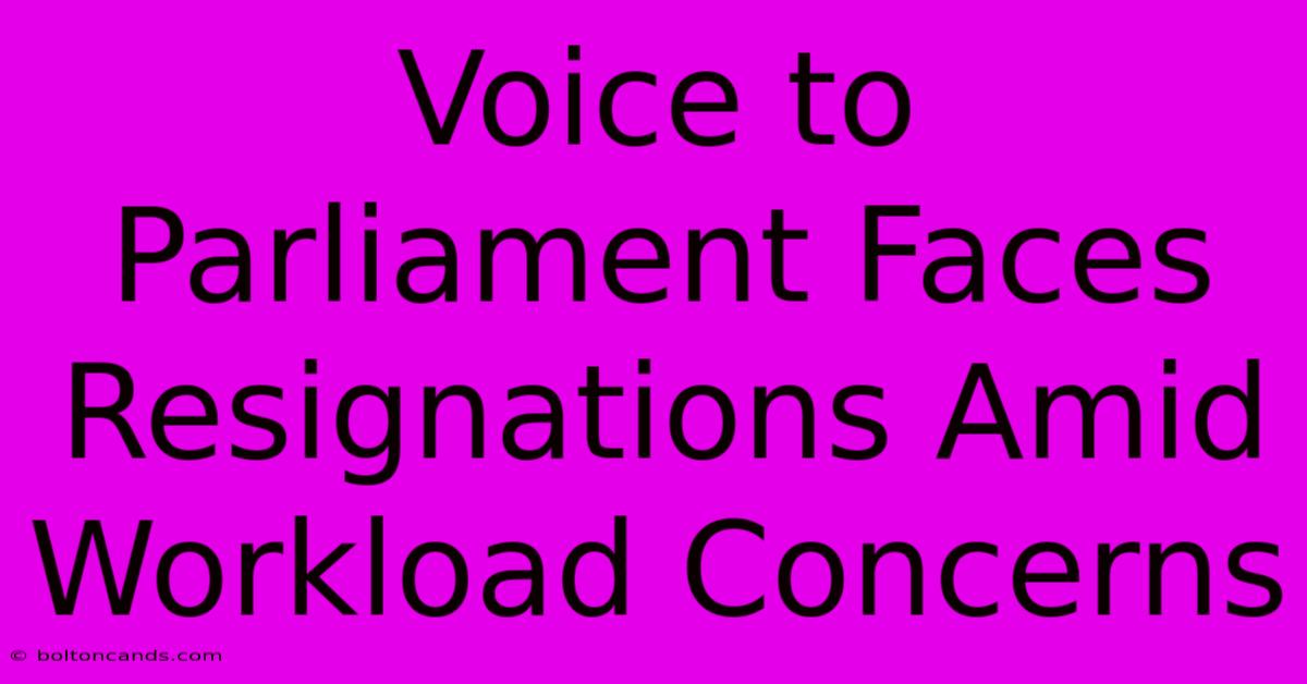 Voice To Parliament Faces Resignations Amid Workload Concerns