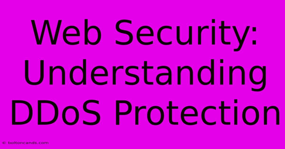 Web Security: Understanding DDoS Protection