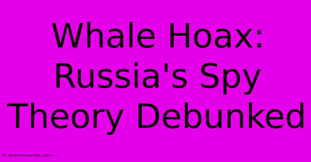 Whale Hoax: Russia's Spy Theory Debunked