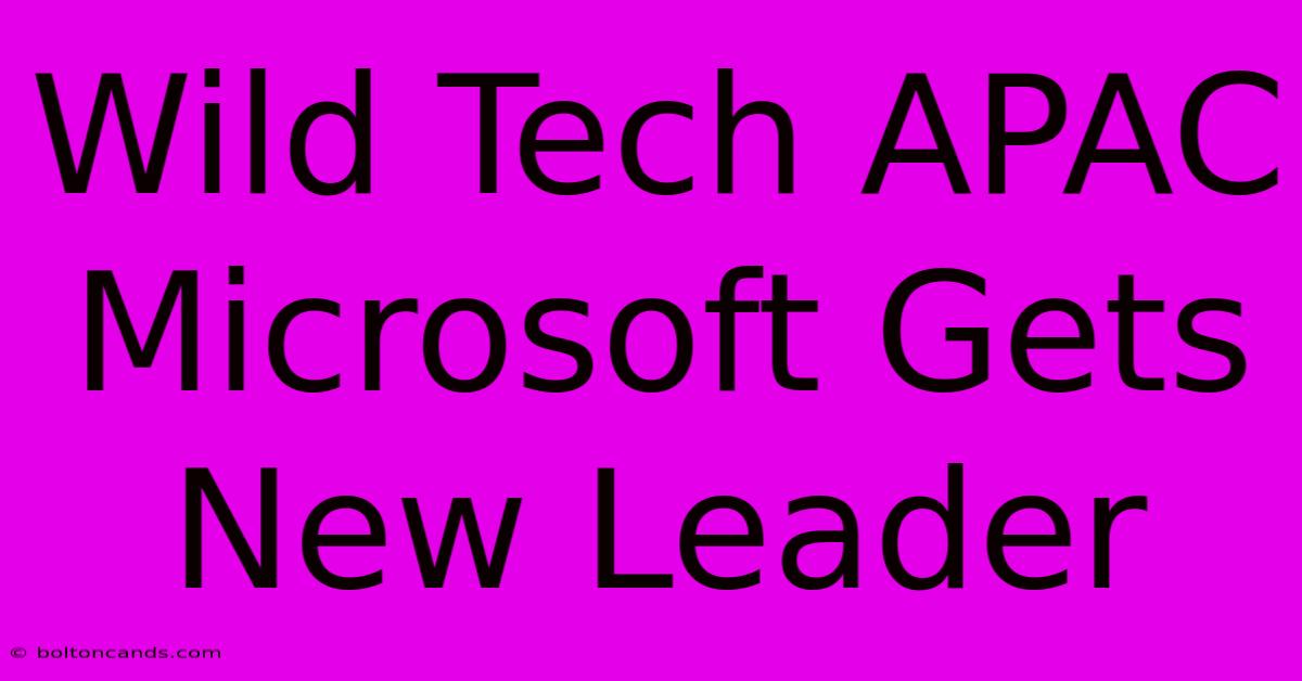 Wild Tech APAC Microsoft Gets New Leader 