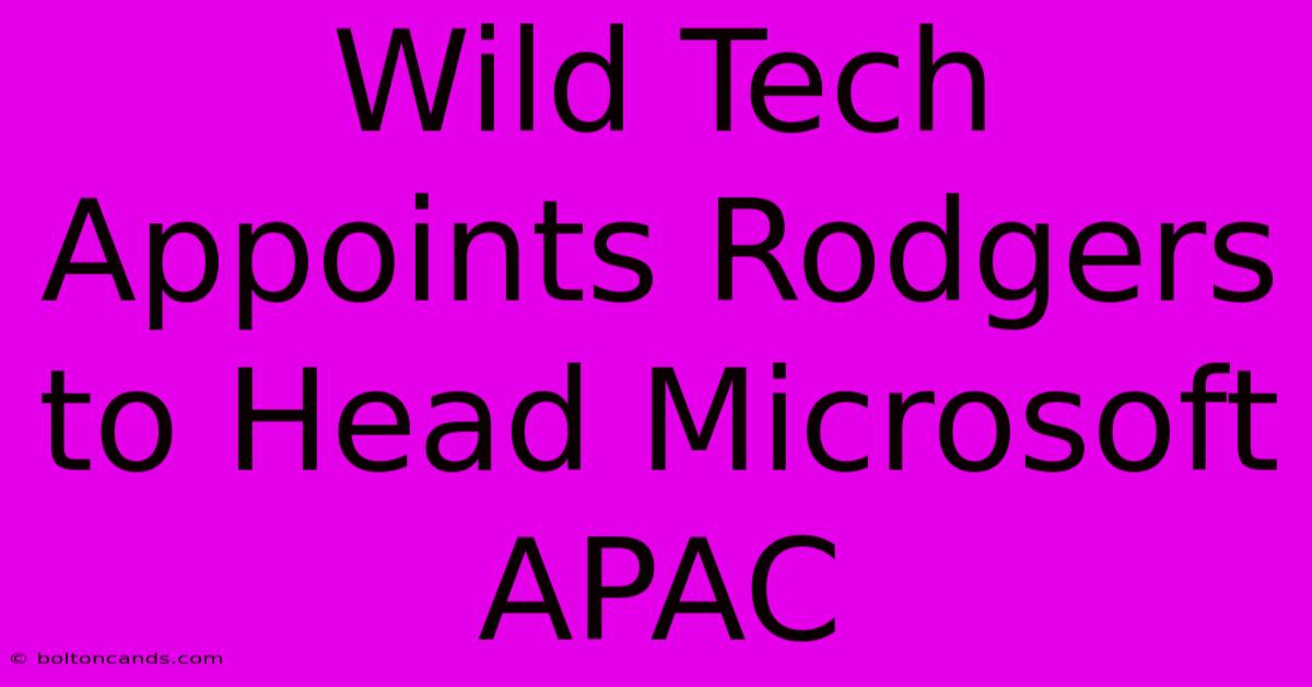 Wild Tech Appoints Rodgers To Head Microsoft APAC 