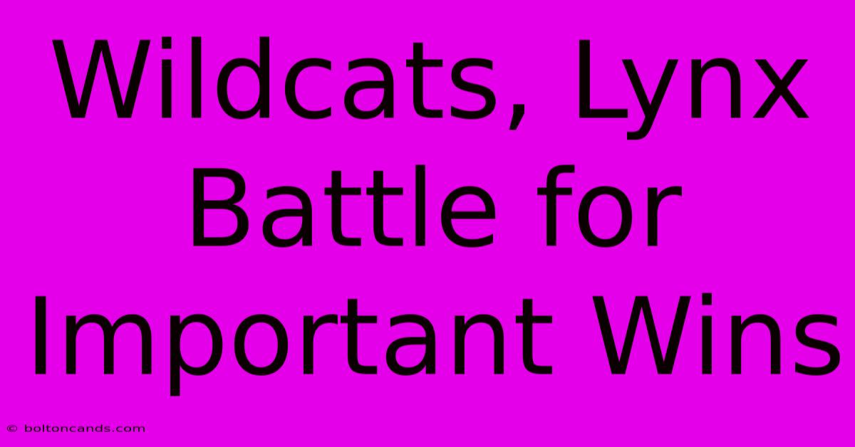 Wildcats, Lynx Battle For Important Wins