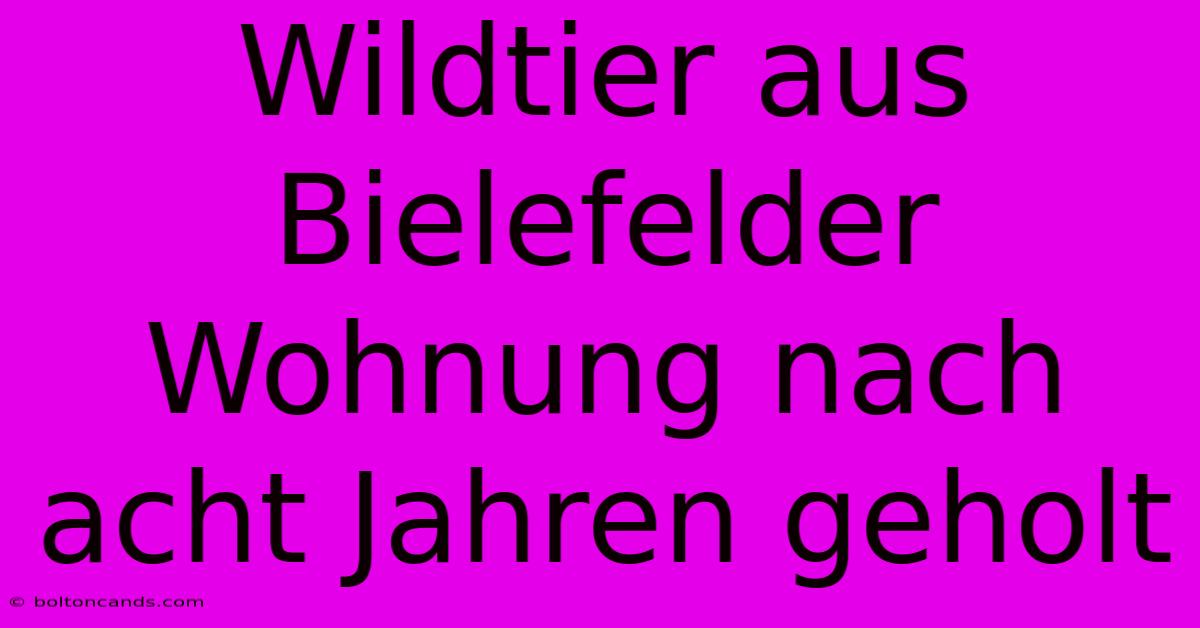 Wildtier Aus Bielefelder Wohnung Nach Acht Jahren Geholt