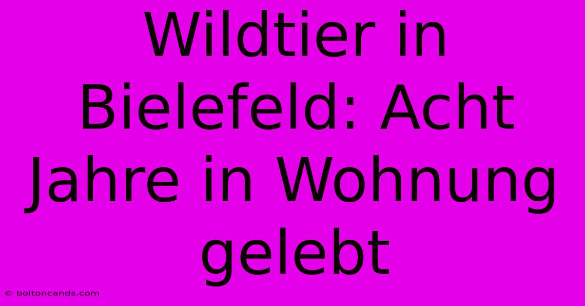 Wildtier In Bielefeld: Acht Jahre In Wohnung Gelebt