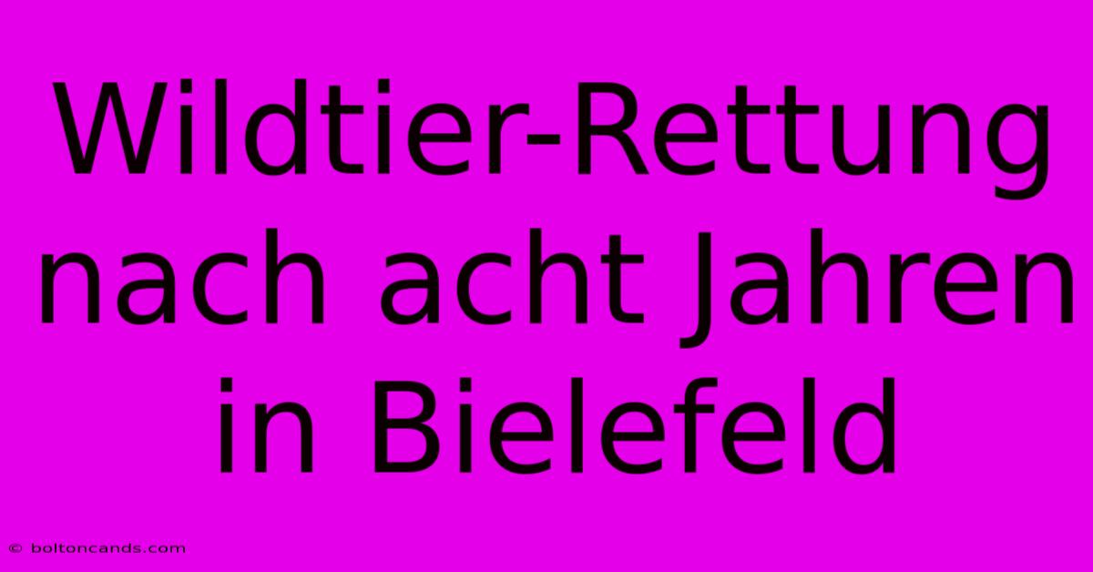 Wildtier-Rettung Nach Acht Jahren In Bielefeld