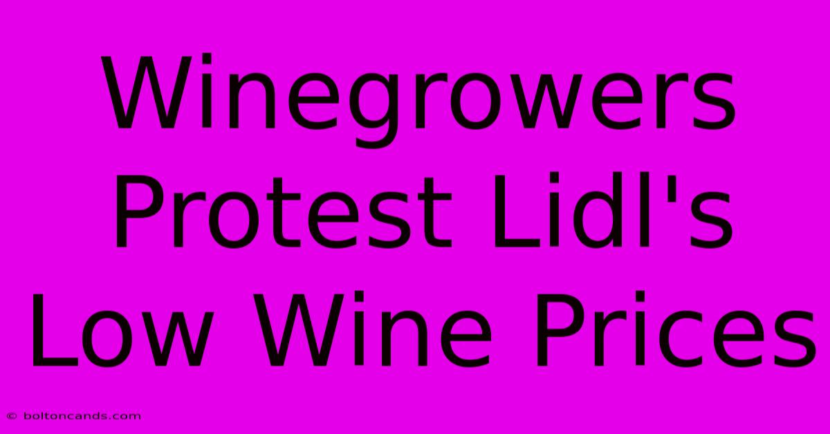 Winegrowers Protest Lidl's Low Wine Prices