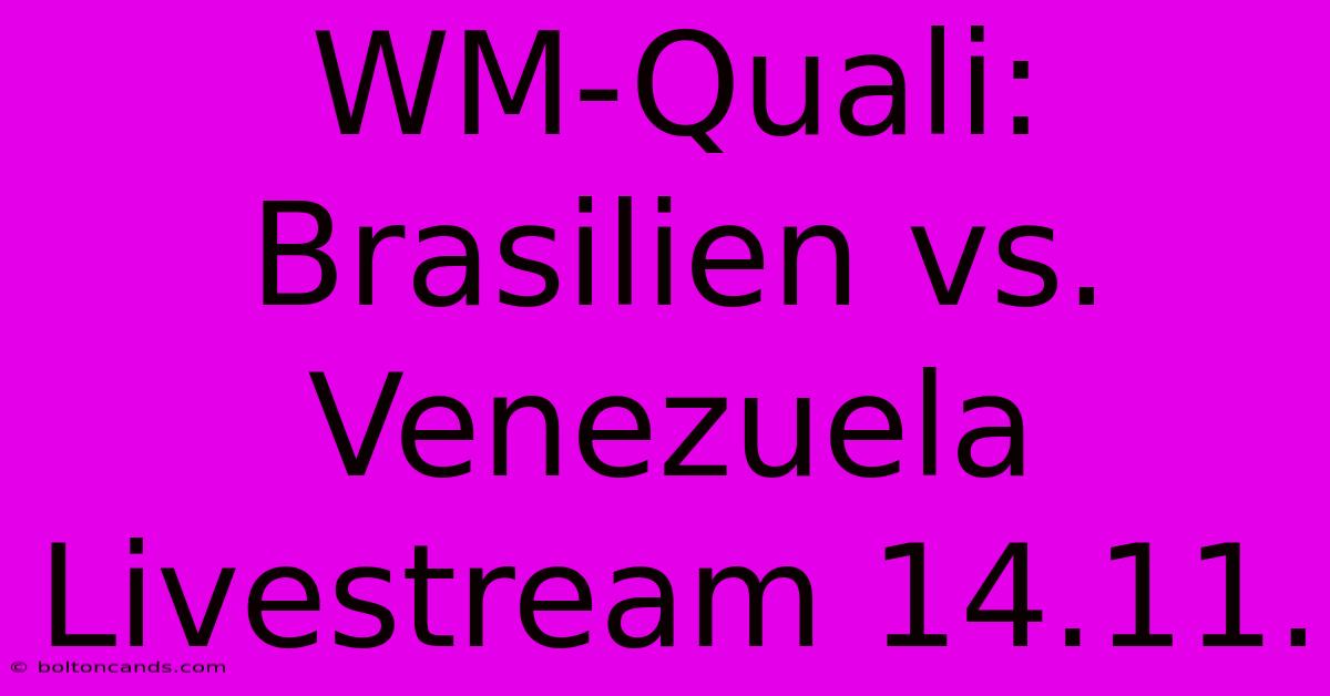 WM-Quali: Brasilien Vs. Venezuela Livestream 14.11.