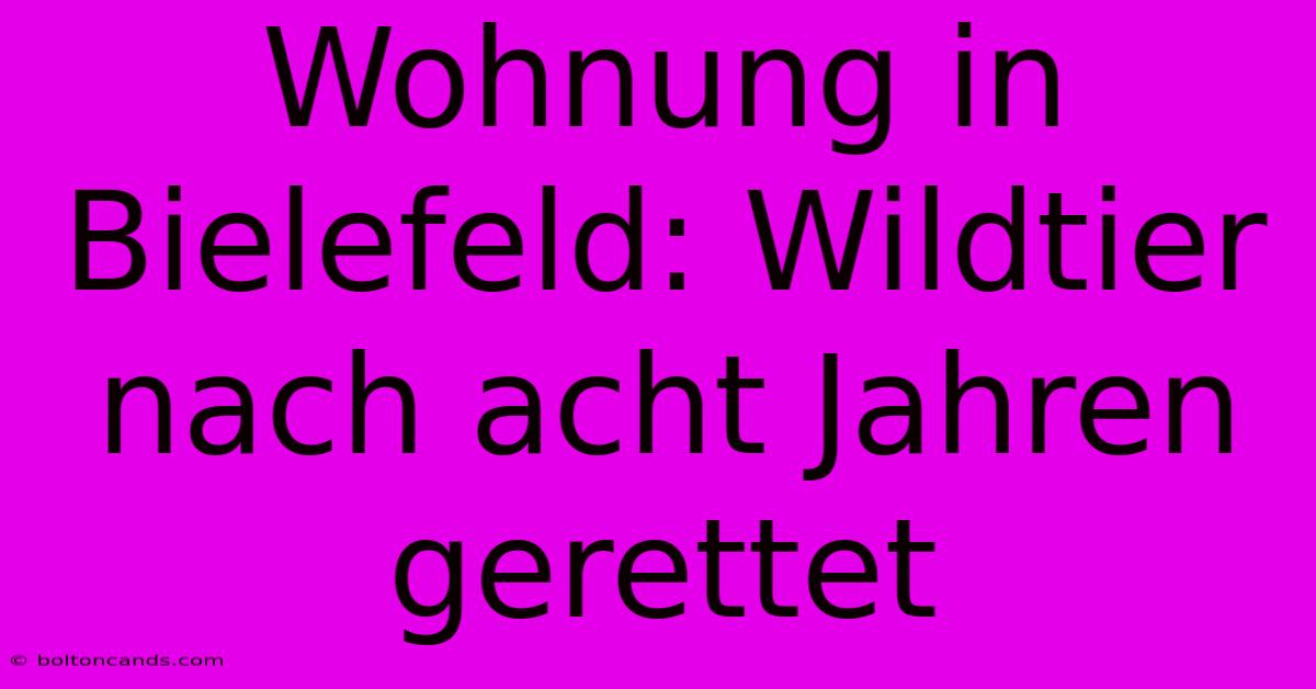 Wohnung In Bielefeld: Wildtier Nach Acht Jahren Gerettet 