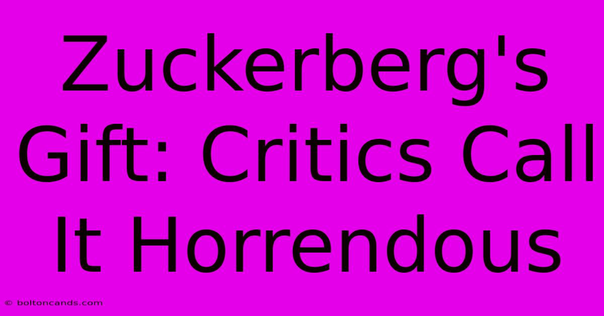 Zuckerberg's Gift: Critics Call It Horrendous