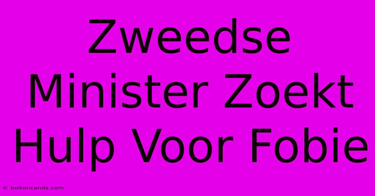 Zweedse Minister Zoekt Hulp Voor Fobie